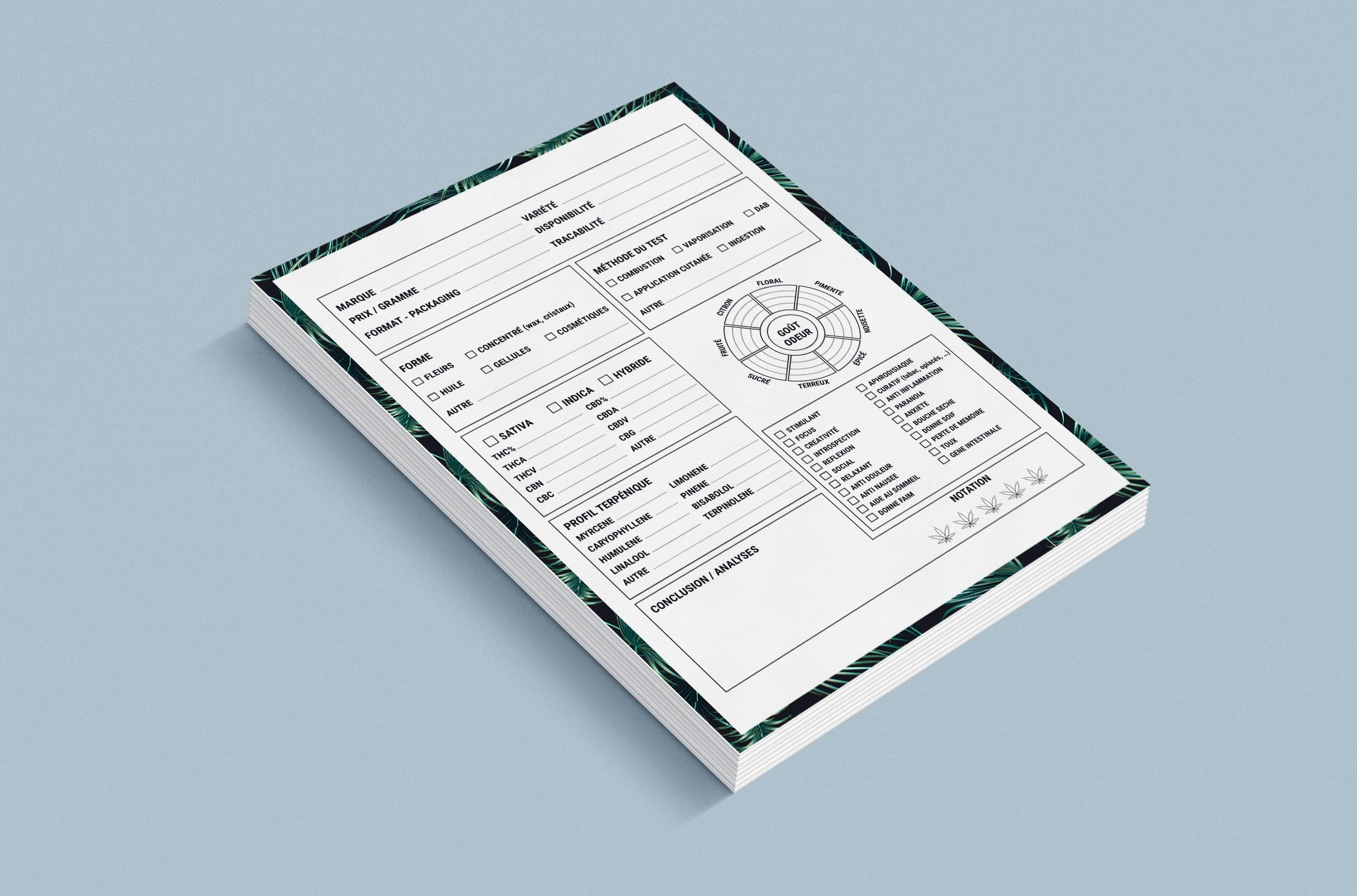 SEO Audit Report Template: Free Downloads & Examples